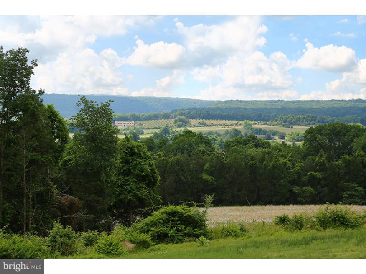 96 Geigel Hill Road Erwinna, PA 18920 - Photo 4 of 5