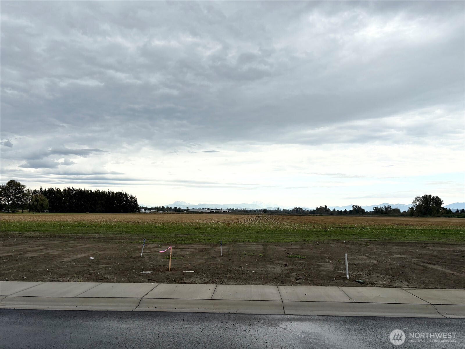 409 West 4th Street Everson, WA 98247 - Photo 10 of 14