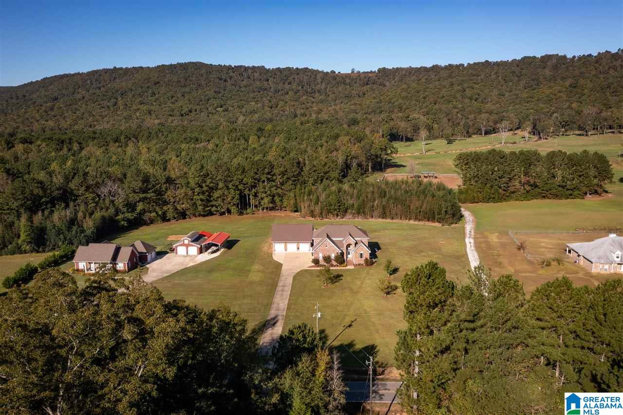 2183 Crawford Cove Road Springville, AL 35146 - Photo 40 of 50