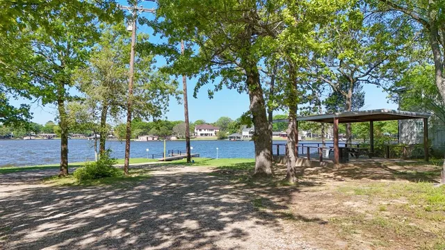 a view of a park with large trees