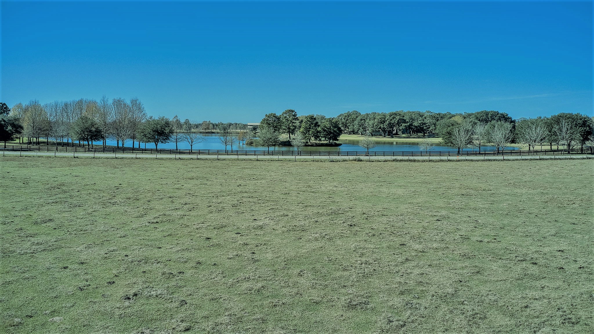 26266 Fields Store Road Waller, TX 77484 - Photo 4 of 49 This could be the view out of your front window.