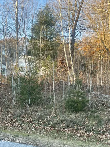 $45,000 | L10 Landon Drive, Gloversville, NY 12078