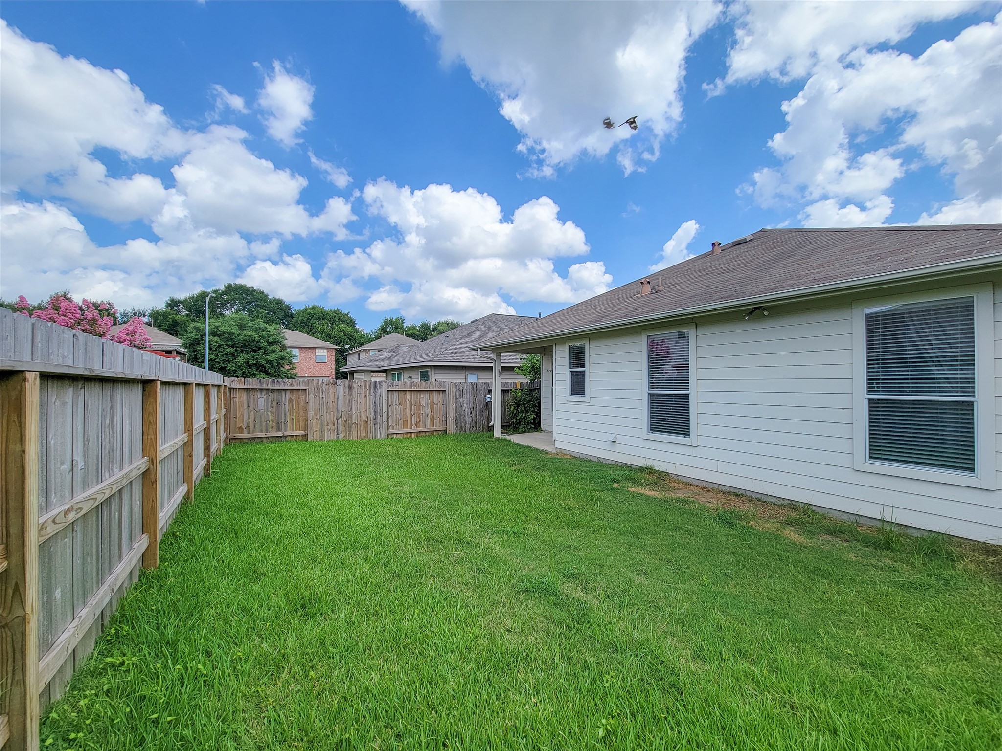25223 Hazel Ranch Drive Katy, TX 77494 - Photo 18 of 20 a backyard of a house with lots of green space