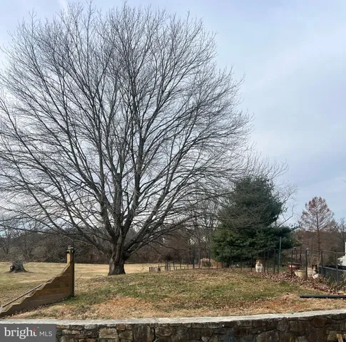 a front view of a house with a yard and large trees