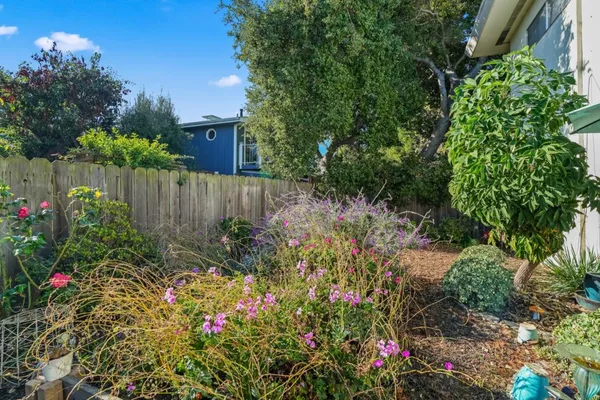 a view of a garden with flowers and wooden fence