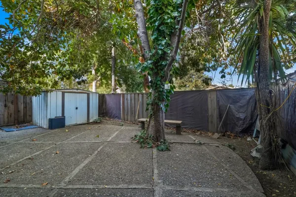 a view of a backyard