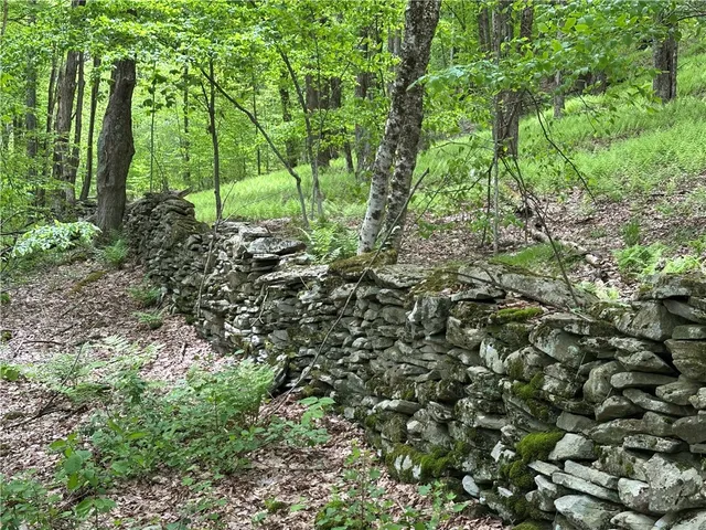 $78,000 | Woodland Hills Road, Andes, NY 13731