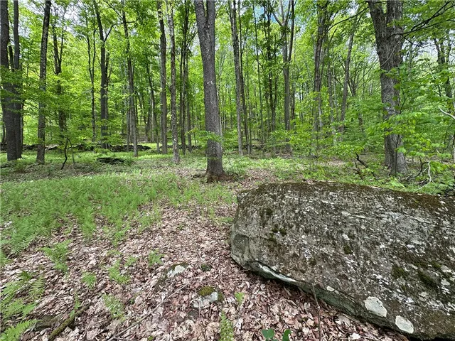 $78,000 | Woodland Hills Road, Andes, NY 13731