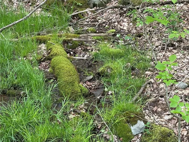 $78,000 | Woodland Hills Road, Andes, NY 13731