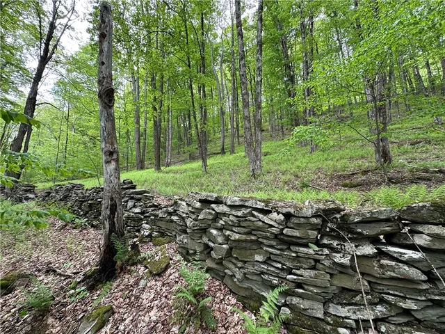 $78,000 | Woodland Hills Road, Andes, NY 13731