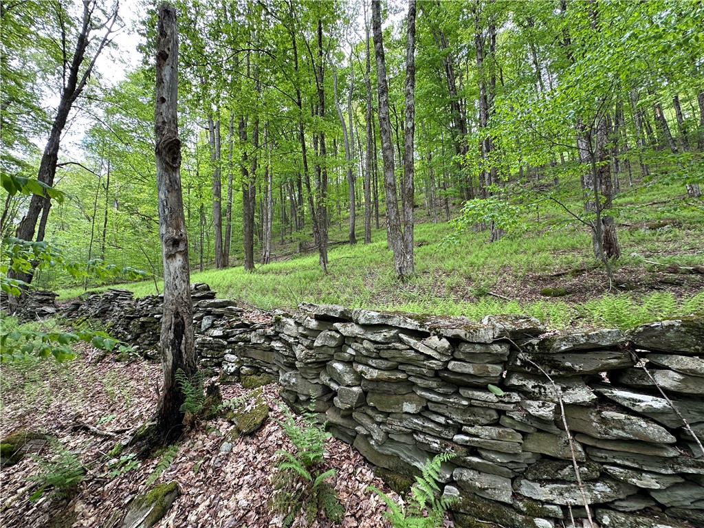 Woodland Hills Road Andes, NY 13731 - Photo 13 of 15