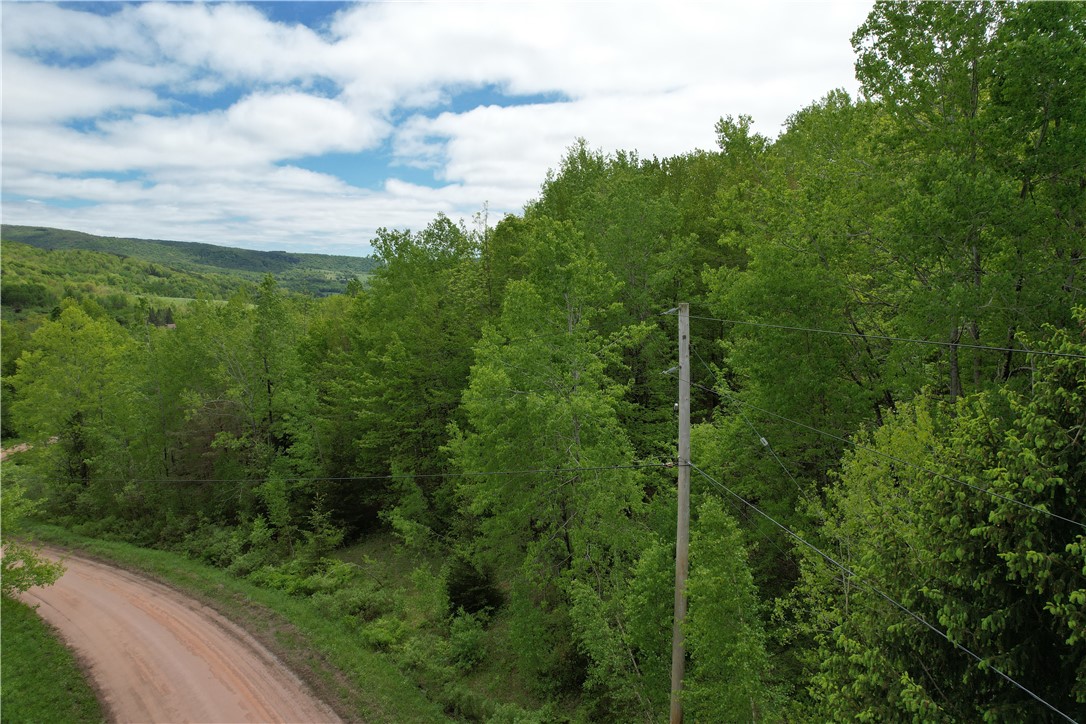 Woodland Hills Road Andes, NY 13731 - Photo 14 of 15