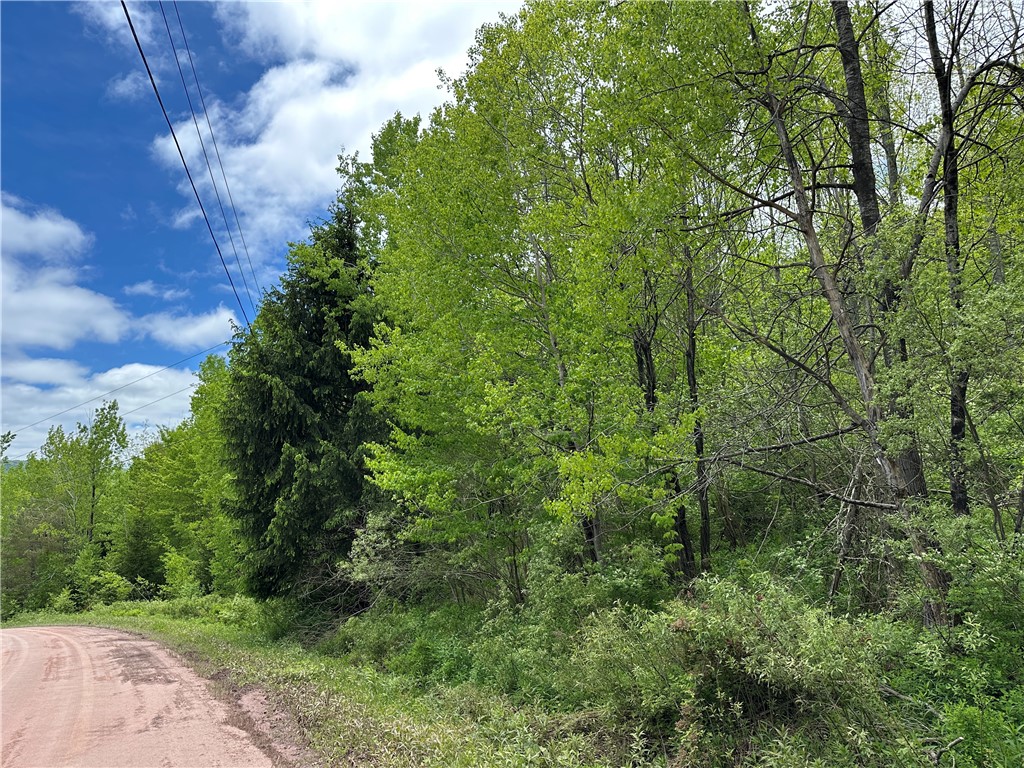 Woodland Hills Road Andes, NY 13731 - Photo 15 of 15