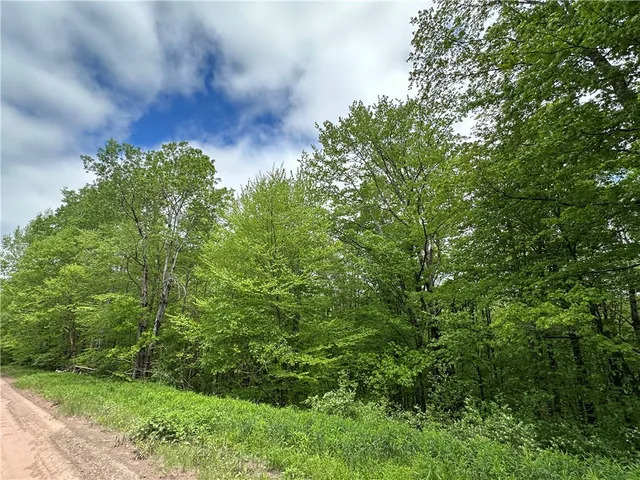 $78,000 | Woodland Hills Road, Andes, NY 13731