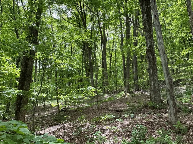 $78,000 | Woodland Hills Road, Andes, NY 13731