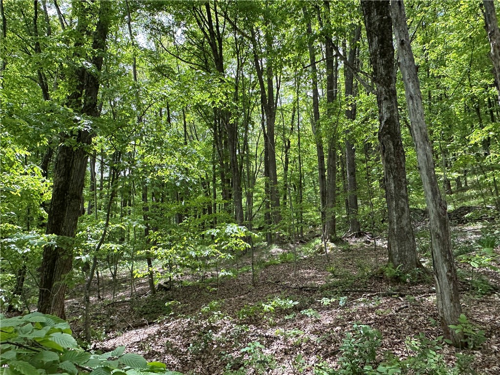 Woodland Hills Road Andes, NY 13731 - Photo 4 of 15