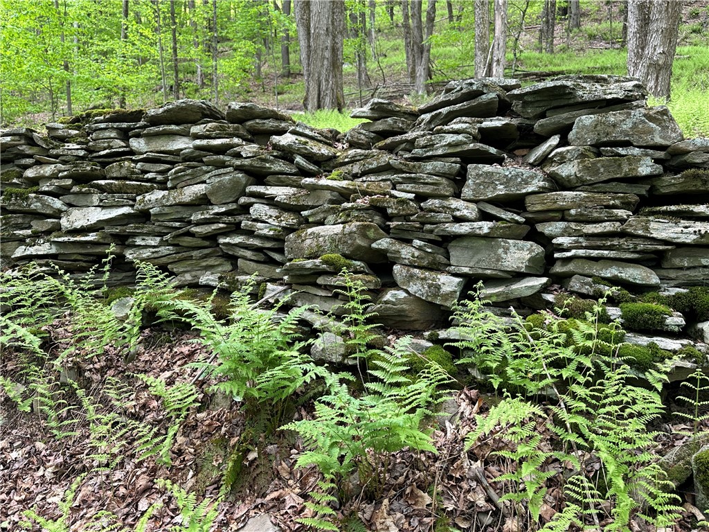 Woodland Hills Road Andes, NY 13731 - Photo 7 of 15