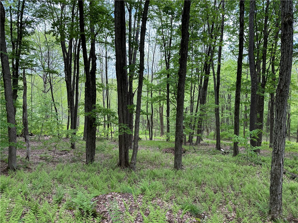 Woodland Hills Road Andes, NY 13731 - Photo 8 of 15