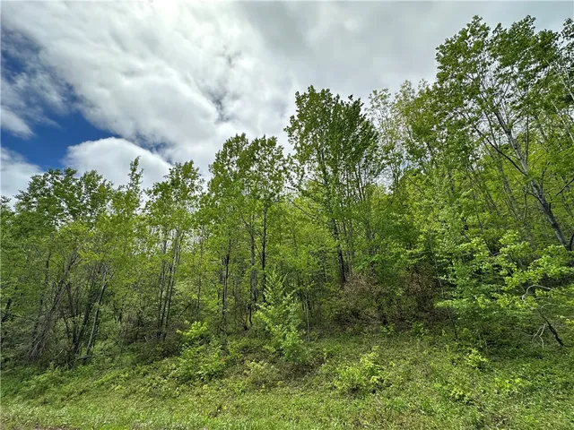 $78,000 | Woodland Hills Road, Andes, NY 13731