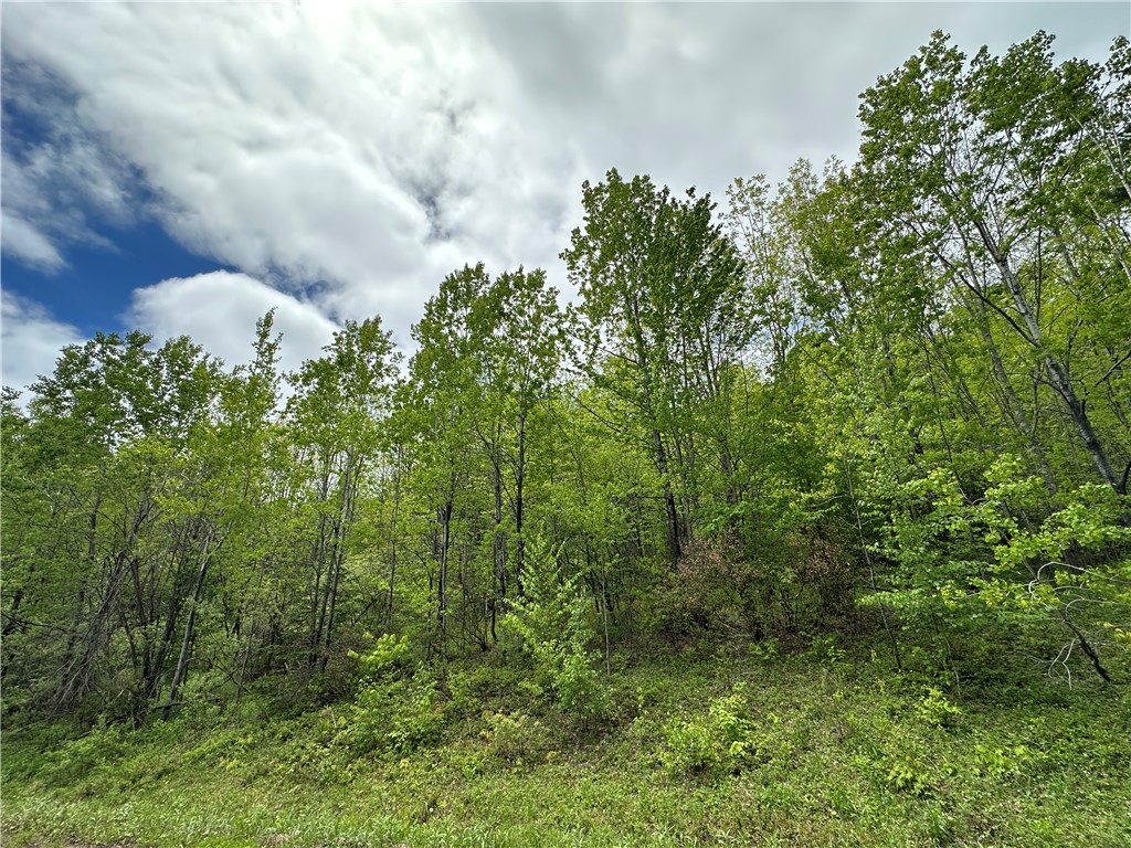 Woodland Hills Road Andes, NY 13731 - Photo 9 of 15