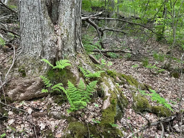 $78,000 | Woodland Hills Road, Andes, NY 13731