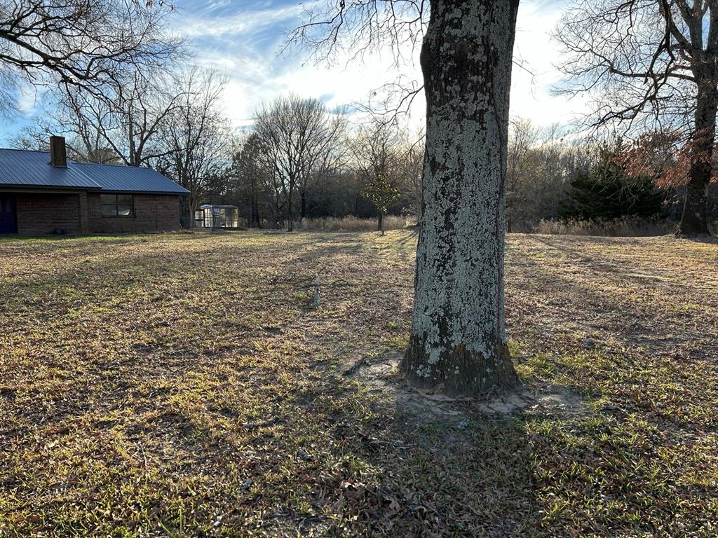 770 Rains County Road 3060 Emory, TX 75440 - Photo 6 of 39 a view of a outdoor space