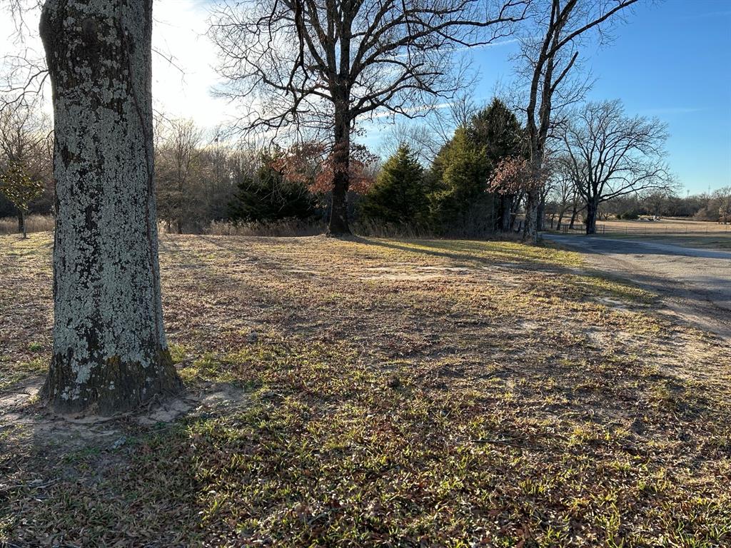 770 Rains County Road 3060 Emory, TX 75440 - Photo 10 of 39 a backyard of a house with lots of green space