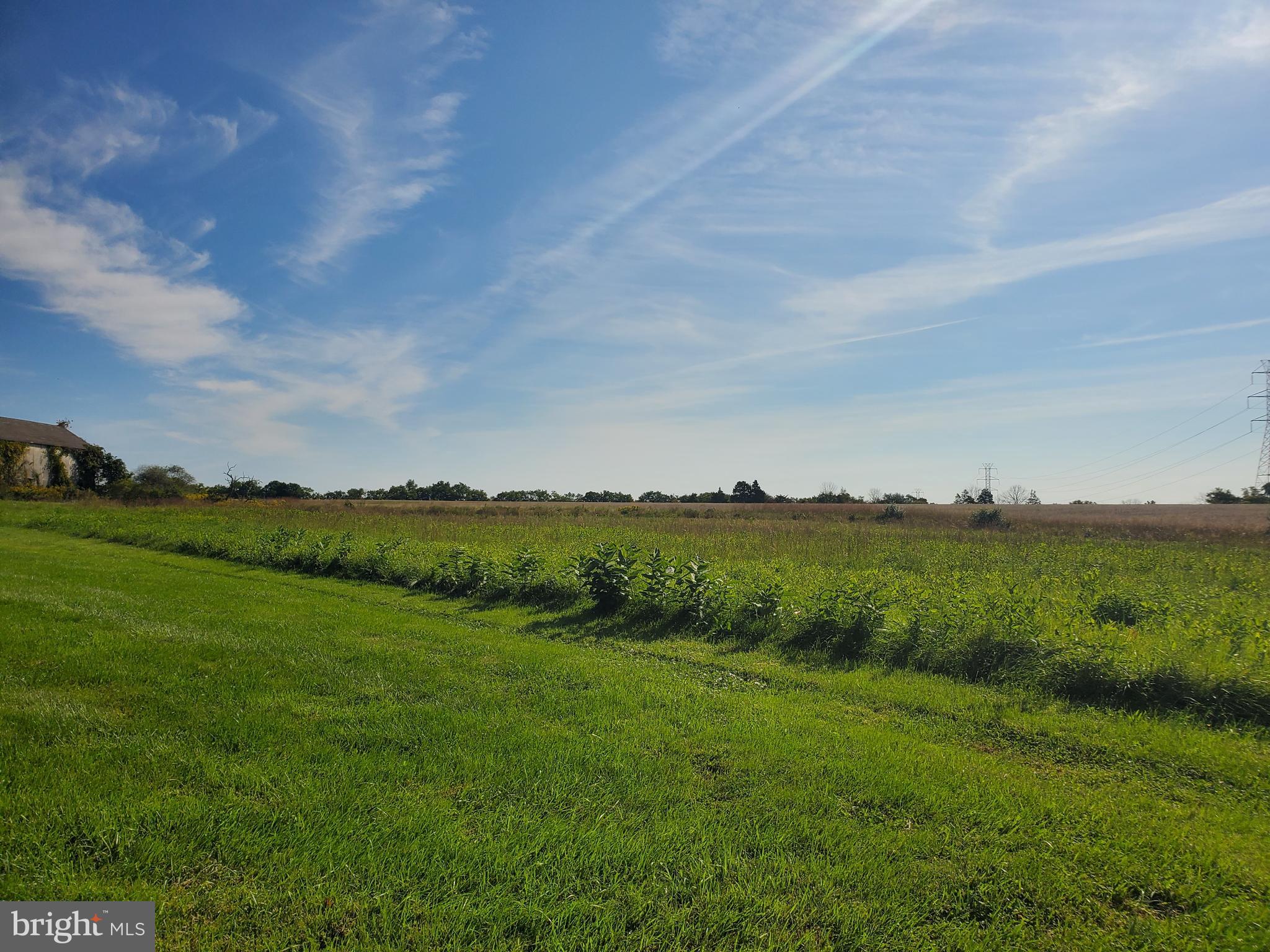 a view of a green field with clear sky