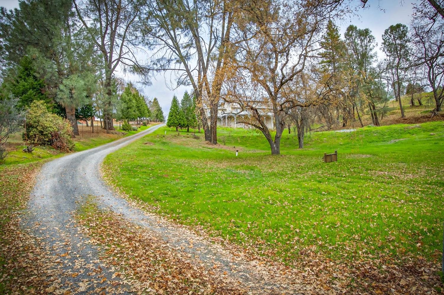 4661 Holm Road Placerville, CA 95667 - Photo 41 of 45
