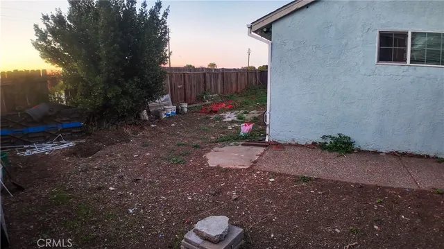 a view of a backyard with plants and trees