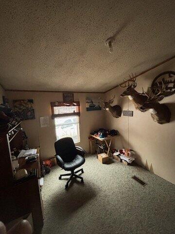 7050 North Poplar Road Free Soil, MI 49411 - Photo 13 of 39 00ad0713-dadd-4a7e-a35f-8150da224b76