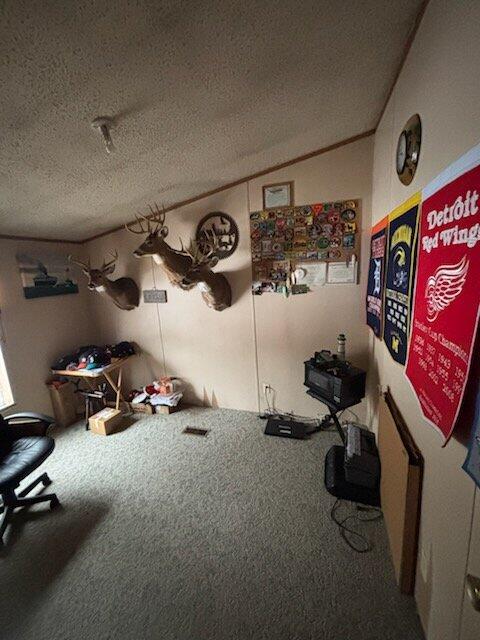 7050 North Poplar Road Free Soil, MI 49411 - Photo 15 of 39 68f99983-b5f7-402b-ba0d-8c0d439f4531