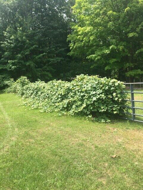 7050 North Poplar Road Free Soil, MI 49411 - Photo 25 of 39 8844d9b7-b8db-4f17-8129-12e3f2ec977f