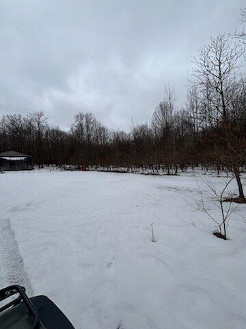 7050 North Poplar Road Free Soil, MI 49411 - Photo 27 of 39 6964a897-8700-47d0-b920-2ff53ed5c631