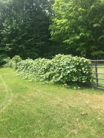 $320,000 | 7050 North Poplar Road, Free Soil, MI 49411