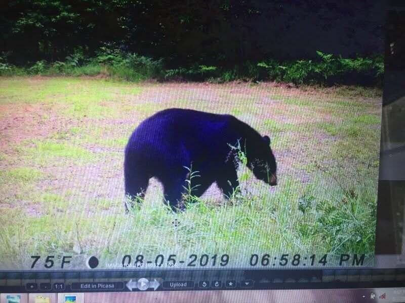 7050 North Poplar Road Free Soil, MI 49411 - Photo 35 of 39 b7f99b34-4557-438d-b040-9554bf8d1abb