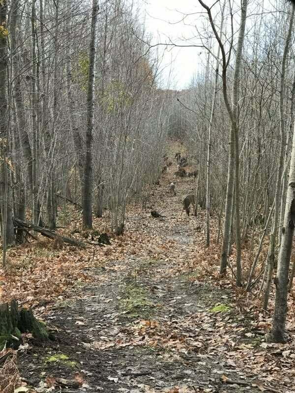 7050 North Poplar Road Free Soil, MI 49411 - Photo 37 of 39 3ed3ba48-e48c-4fda-b117-b32846db1b98