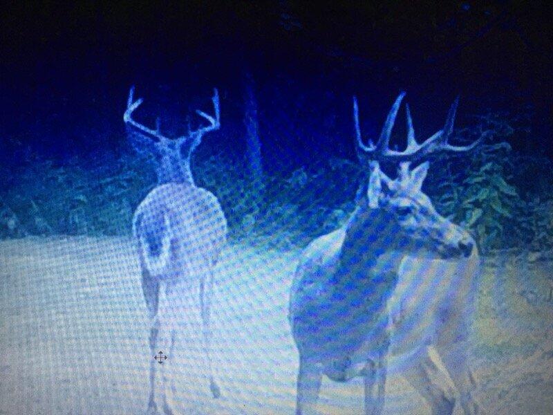 7050 North Poplar Road Free Soil, MI 49411 - Photo 38 of 39 6ef4bcc5-bdc4-440c-88fd-59250421481c