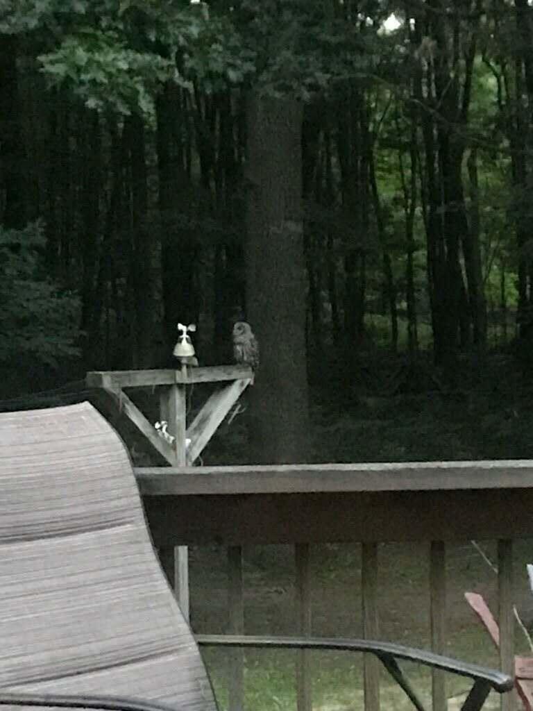 7050 North Poplar Road Free Soil, MI 49411 - Photo 39 of 39 30b89c51-21d5-4621-a31e-ce06688eeccf