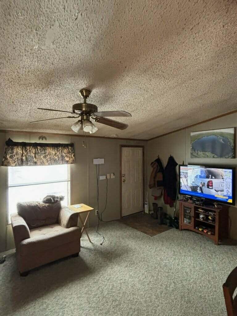 7050 North Poplar Road Free Soil, MI 49411 - Photo 9 of 39 d136385d-f47b-4269-9cbe-d2733556d26d