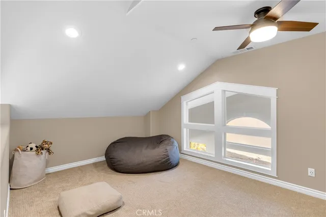 a view of a garden with plants and large trees