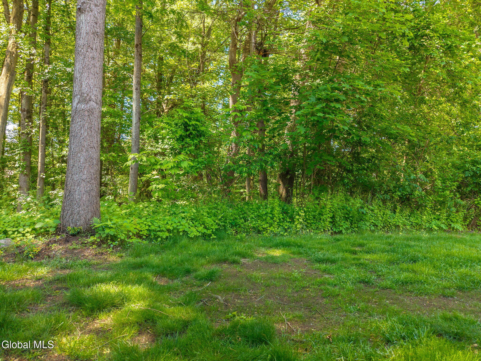 4034 Georgetown Square Guilderland, NY 12303 - Photo 27 of 34 30-4034GeorgetownSq_30