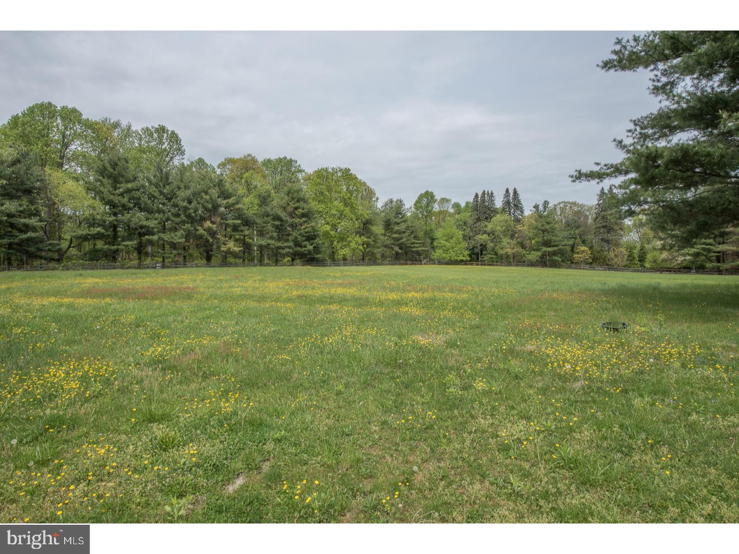 2534 Flowing Springs Road Chester Springs, PA 19425 - Photo 23 of 25 Side Yard