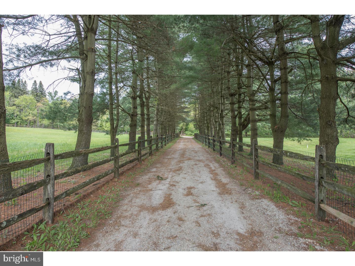 2534 Flowing Springs Road Chester Springs, PA 19425 - Photo 24 of 25 Driveway