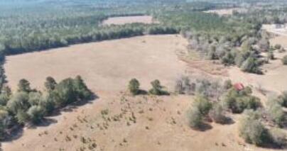 3.97 A Fellowship Road Barnwell, SC 29812 - Photo 1 of 1 Gallery Image 1