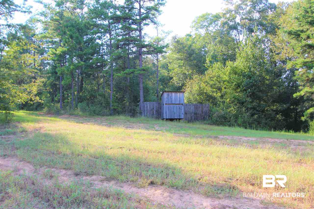 794 Dry Lake Road Luverne, AL 36049 - Photo 15 of 48 Shooting House