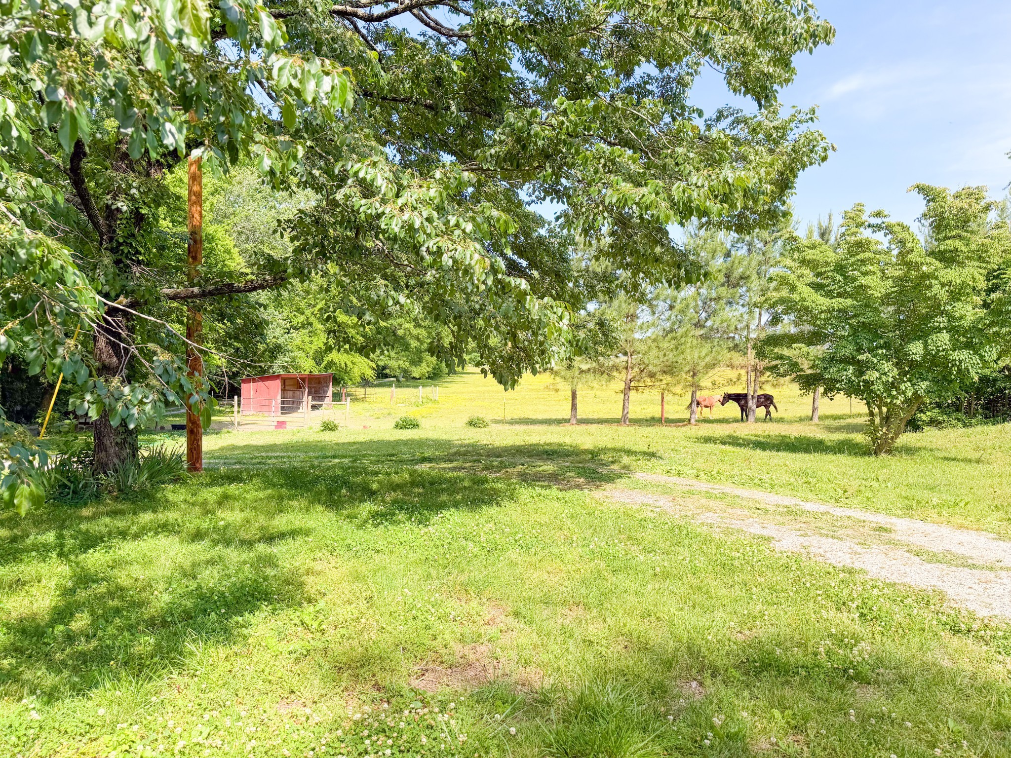 3800 Salem Road Minor Hill, TN 38473 - Photo 51 of 53