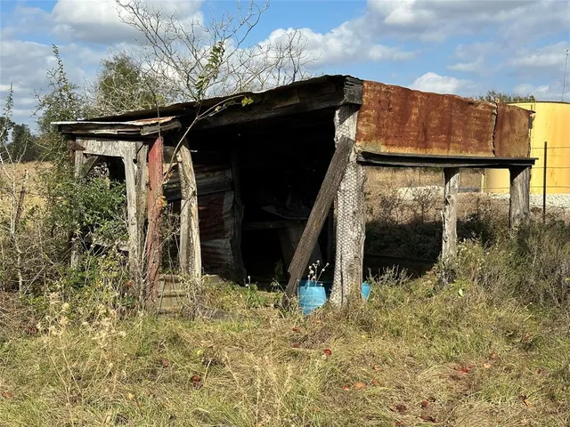 a view of a forest with trees in the background