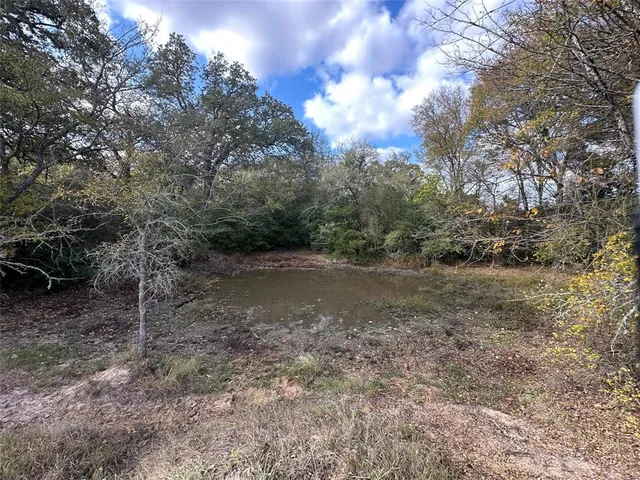 a view of a yard with a tree