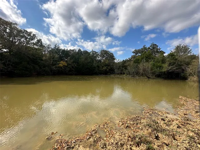 a view of a yard with an trees